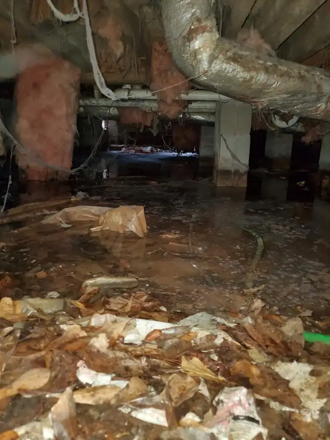 Crawl space flood assessment for Leak Detection & Repair in Huron