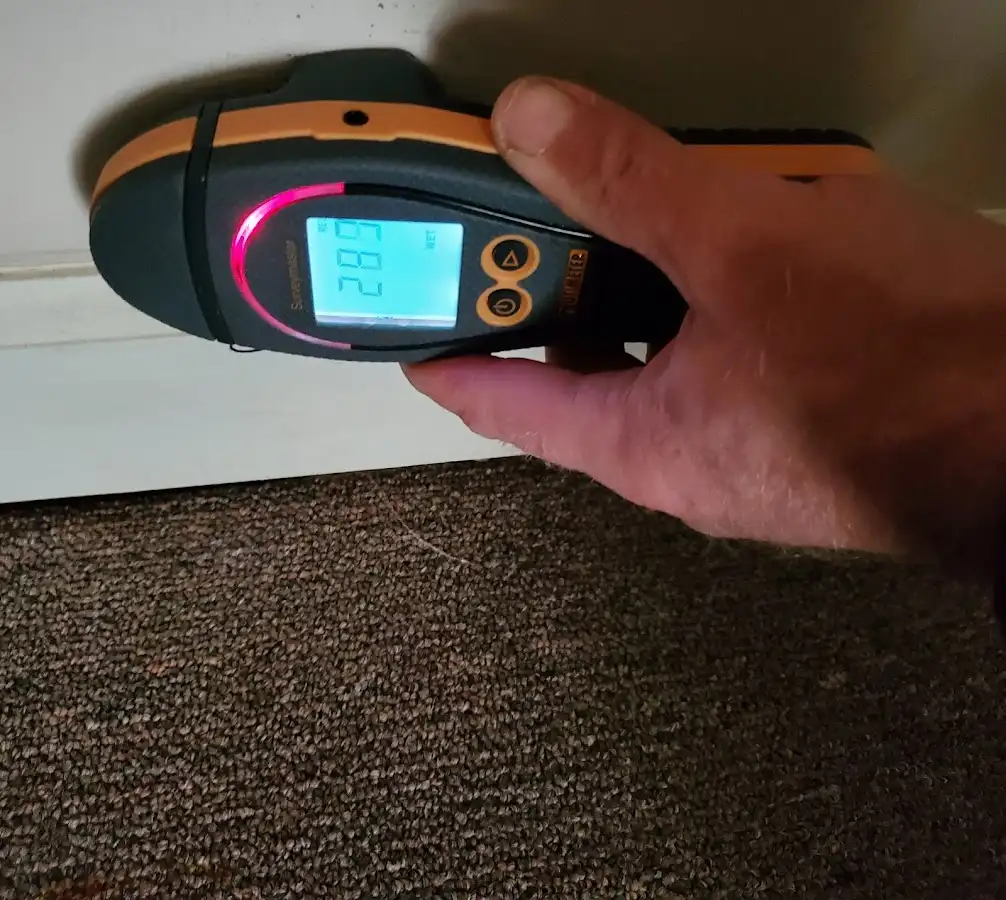 Moisture detection at baseboard during Mold Inspection & Testing in Huron